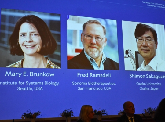 Premio Nobel de Medicina 2025 para Brunkow, Ramsdell y Sakaguchi por avances en inmunología
