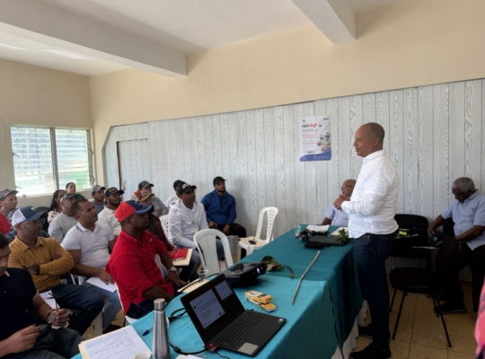 Ministerio de agricultura supervisa e impulsa producción agropecuaria en Constanza                                 