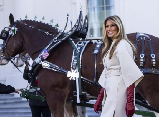 Melania Trump recibe el árbol que presidirá la navidad en la Casa Blanca