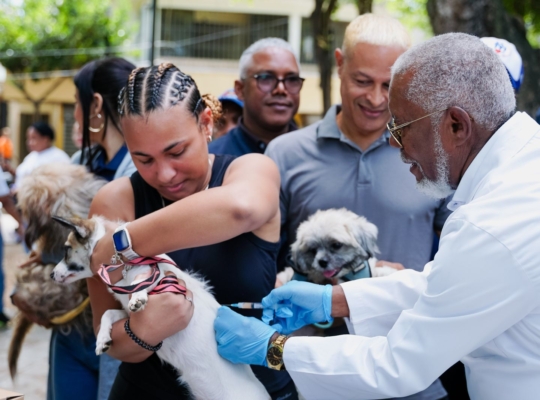 MSP informa desde el 7 al domingo 9 de noviembre se desarrollará en todo el país la Jornada Nacional de Vacunación Antirrábica 2025