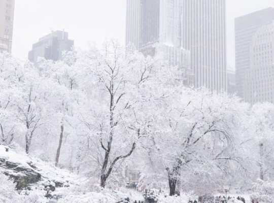 Primera gran nevada del año cubre Central Park y gran parte de Nueva York