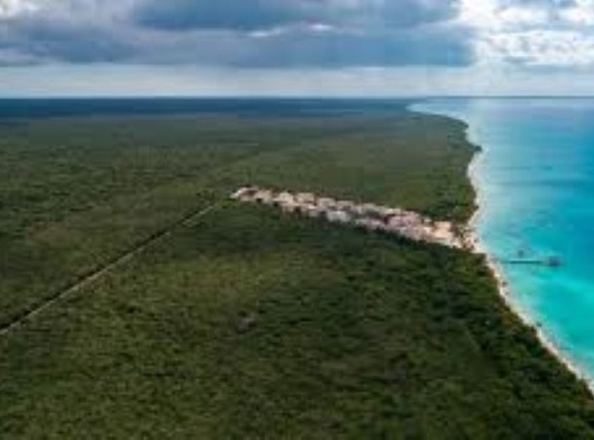 Tribunal falla a favor del estado en caso de expropiación de terrenos del parque Cotubanamá