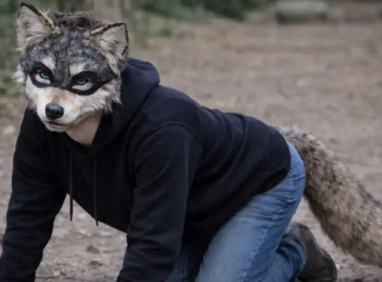 La tendencia de los llamados therians -personas que se auto perciben como animales- ha llegado a la República Dominicana e incluso ya se ha anunciado un encuentro en el país.