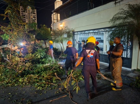 Bomberos y Alcaldía del Distrito Nacional retiran árboles caídos tras fuertes vientos