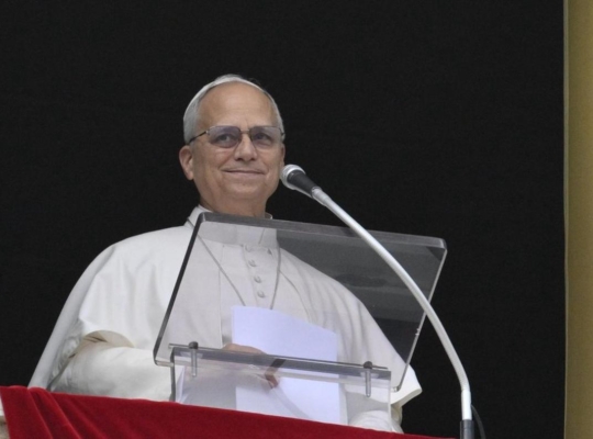 El papa León “No voy a entrar en debates. Lo que digo no pretende ser un ataque contra nadie. El mensaje del Evangelio es muy claro: ‘Bienaventurados los pacificadores’”