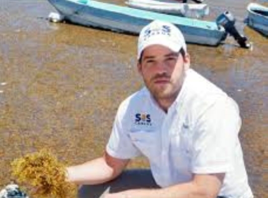 Andrés Bisonó destaca oportunidades de aprovechamiento de productos a base de sargazo