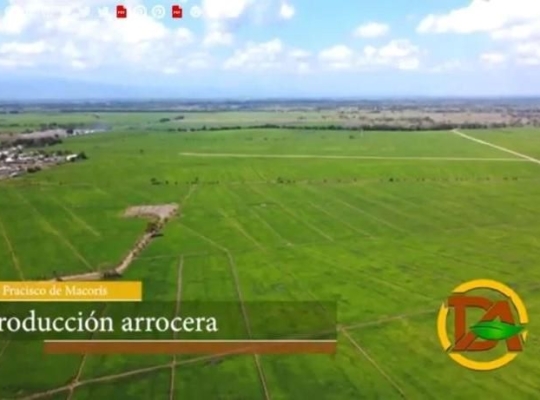 Día del Agricultor en República Dominicana, el motor silencioso del campo que alimenta al país