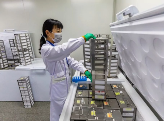 Crean un atlas con más 92 millones de elementos del ADN que controlan los genes humanos