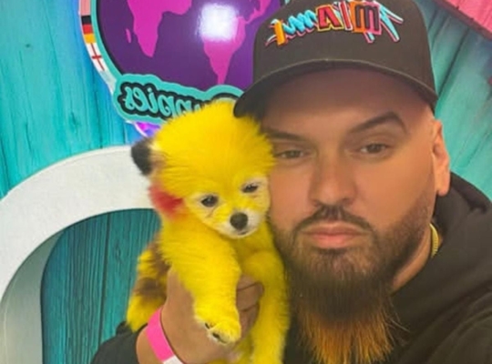Erik Torres Sobrevive A Un Infarto Masivo Gracias A Zaza (Pikachu), El Perro Viral Que Conquistó Las Redes Y Le Salvó La Vida