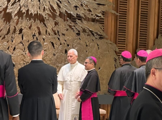 Iglesia dominicana estrecha vínculos con el papa León XIV durante encuentro en Roma