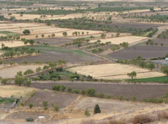 DÍA MUNDIAL DE LA AGRICULTURA