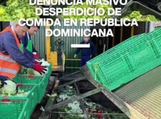 ONG Banco de Alimentos RD denuncia se desperdician unos 1.1 millones de kilos de alimentos cada semana