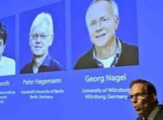 ¡REVOLUCIÓN CIENTÍFICA! Nobel 2026 premia avances que permiten controlar el cerebro con luz y “ver” el universo con neutrinos