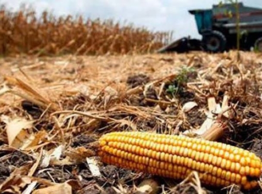 Marcelino Vargas alerta sobre riesgo de escasez mundial de alimentos por sequía y cambio climático
